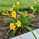 La Rosa Del Sile 아파트 *
